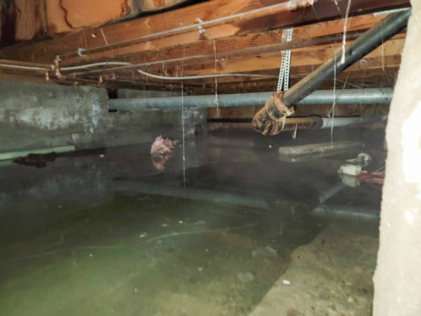 Trusted AZ Water damage restoration Experts