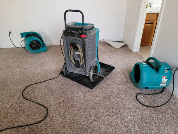  Prescott Valley, AZ Water damage restoration Pros