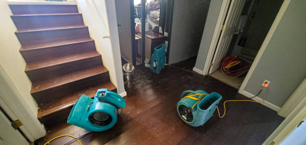 Best Water damage restoration insurance claims  in Prescott Valley, AZ
