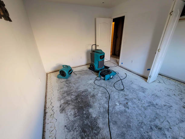 Best Carpet water damage restoration  in Prescott Valley, AZ