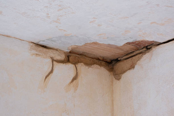 Best Water damage contractors near me  in Prescott Valley, AZ