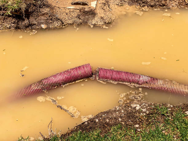 Best 24-hour water damage restoration  in Prescott Valley, AZ