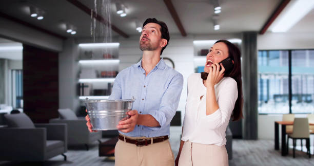 Best Water damage cleanup near me  in Prescott Valley, AZ