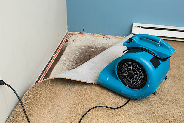 Best Local water damage restoration  in Prescott Valley, AZ